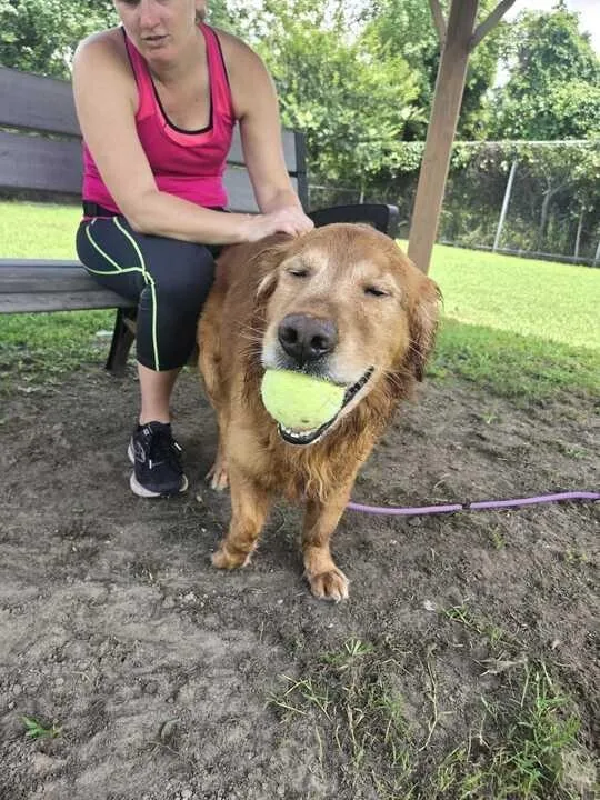 Finley