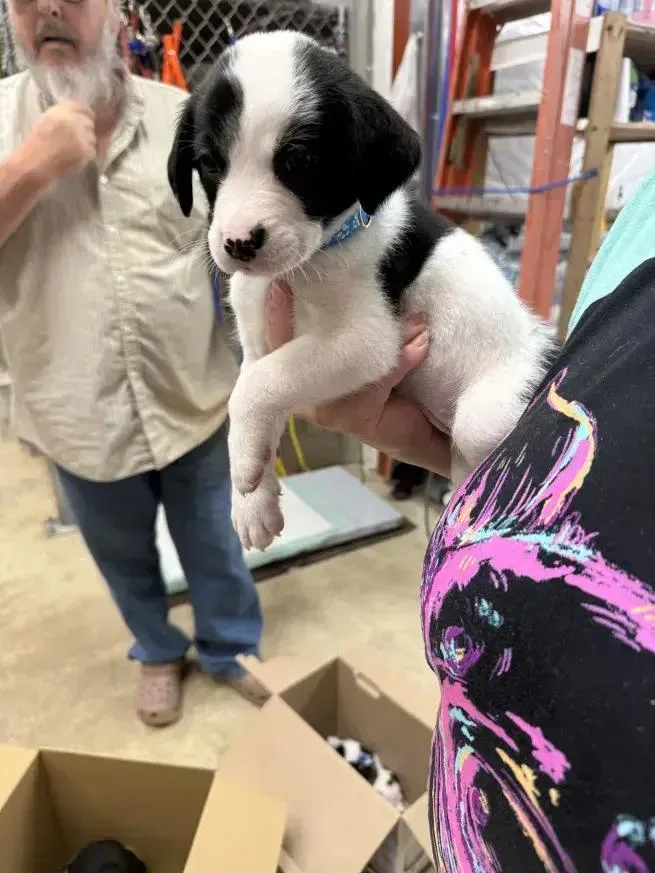Sophia thumbnail 2