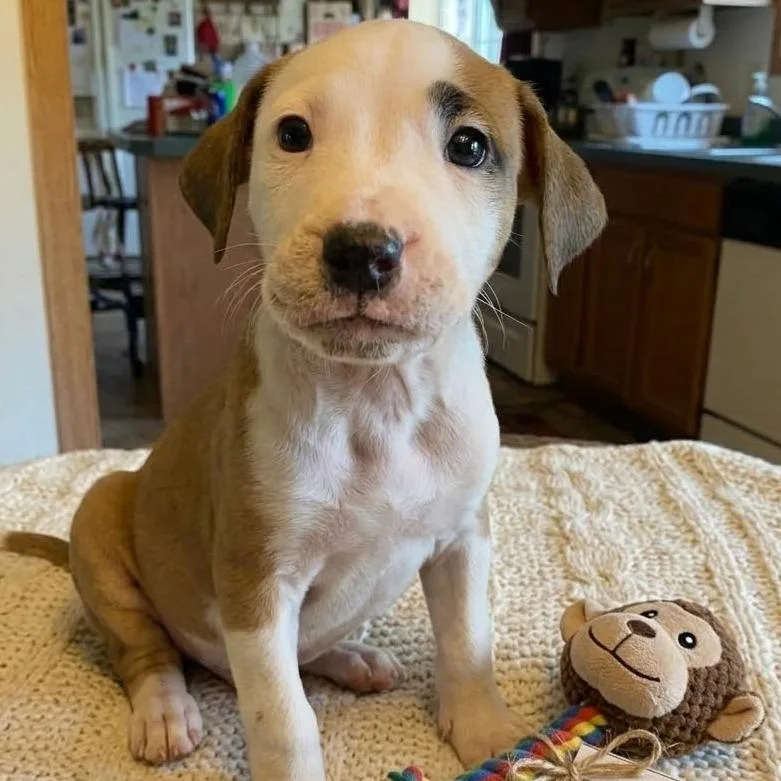 Moraine thumbnail 2