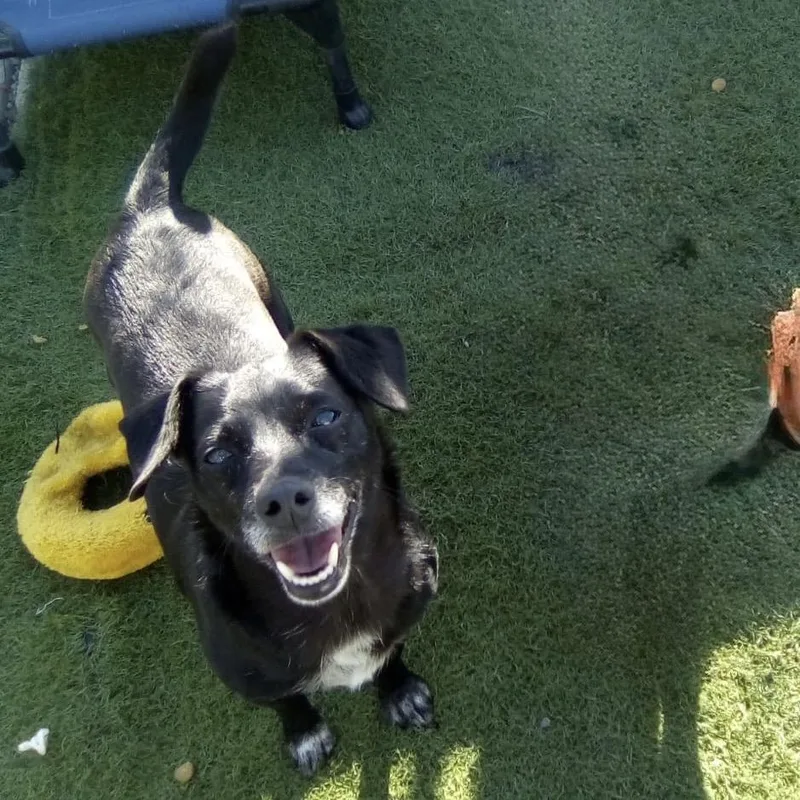 Morticiaa thumbnail 3