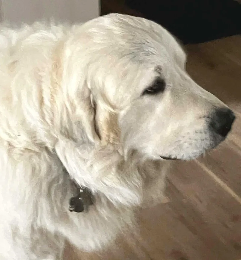 Smokey Whiskey Sat thumbnail 2