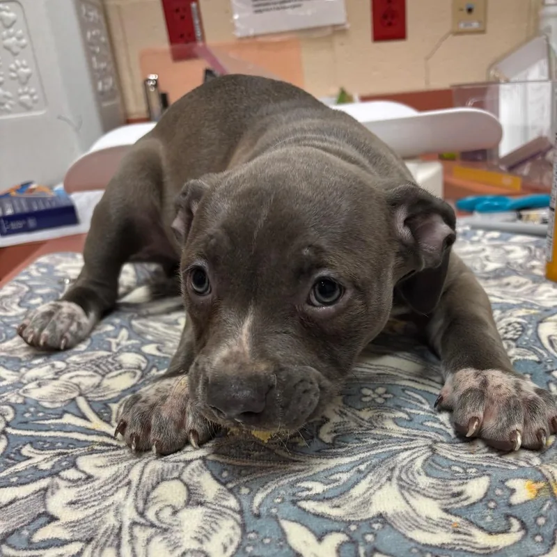 Existential Crisis thumbnail 2