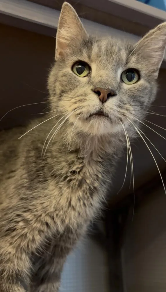 Eugene
