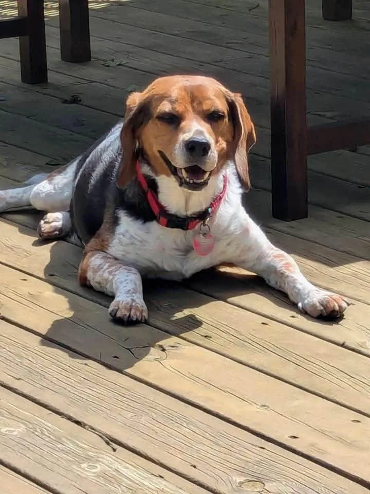 Benny
