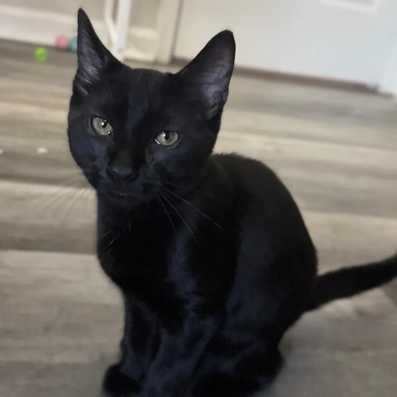 Squishy Slug thumbnail 2