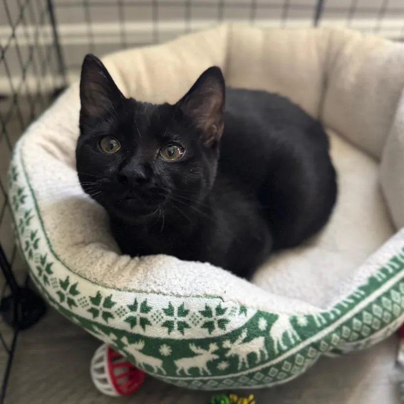 Squishy Slug thumbnail 4