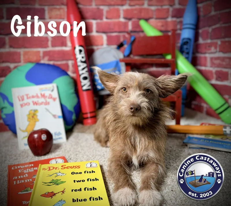 Gibson thumbnail 3