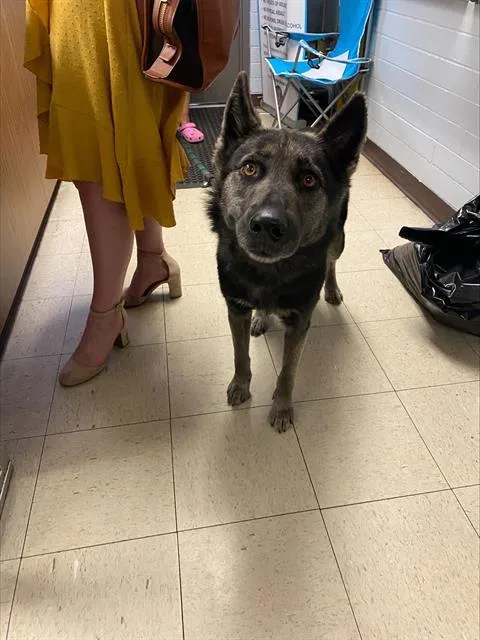 Stromboli thumbnail 2