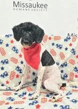 Max