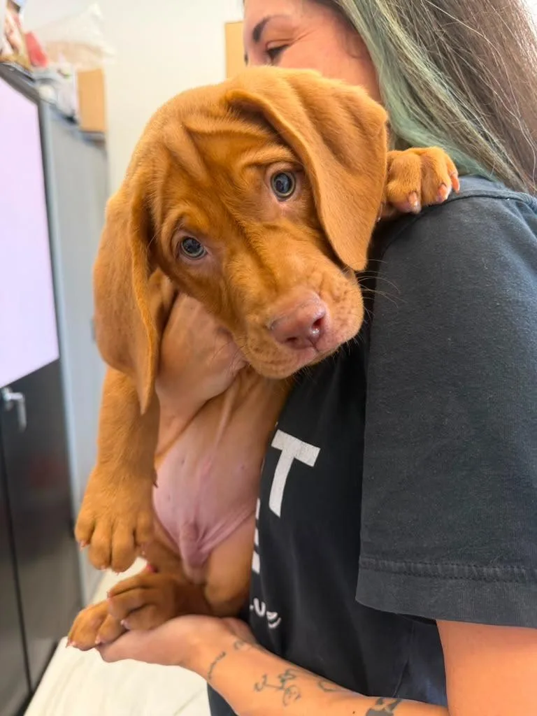 Fergus