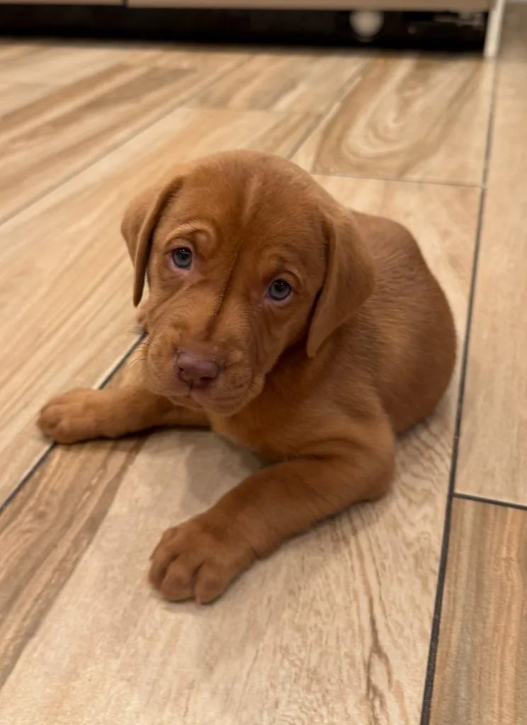 Fergus thumbnail 2