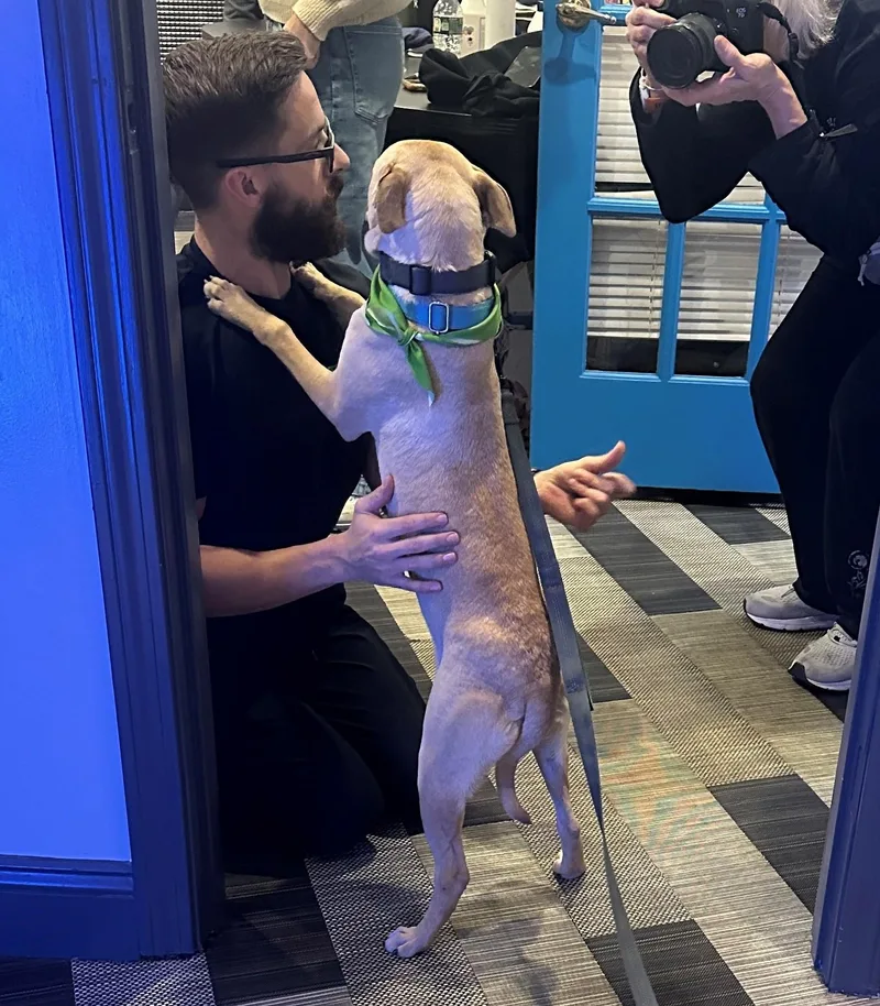 Pixie Moon ~ Local thumbnail 4