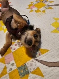Fred thumbnail 3