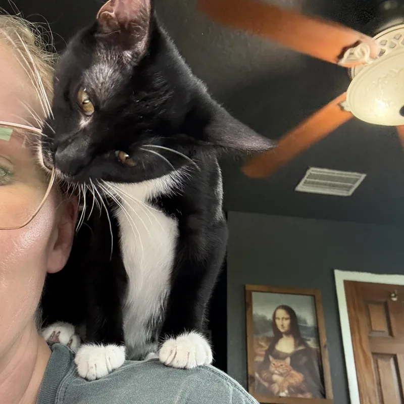 Squeak thumbnail 3