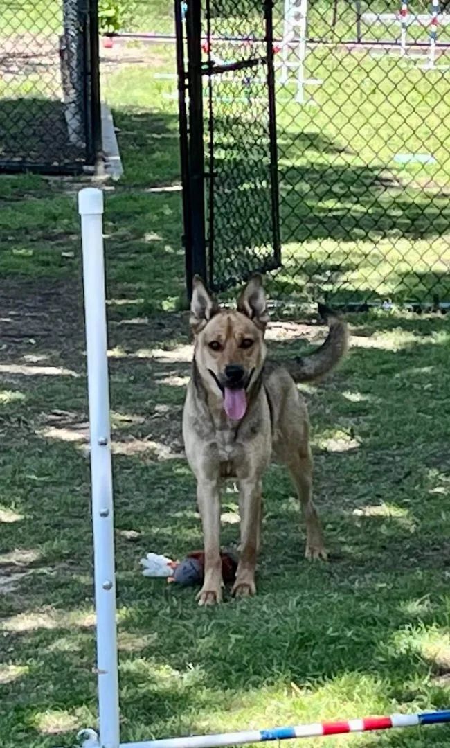 Mia