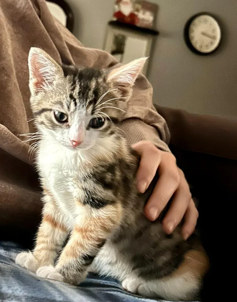 Juliette thumbnail 3