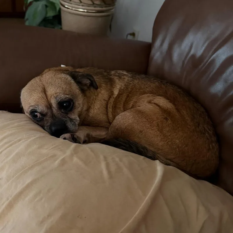 Gracie C thumbnail 2