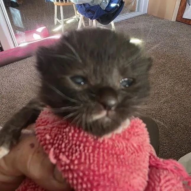 Bootsie thumbnail 2