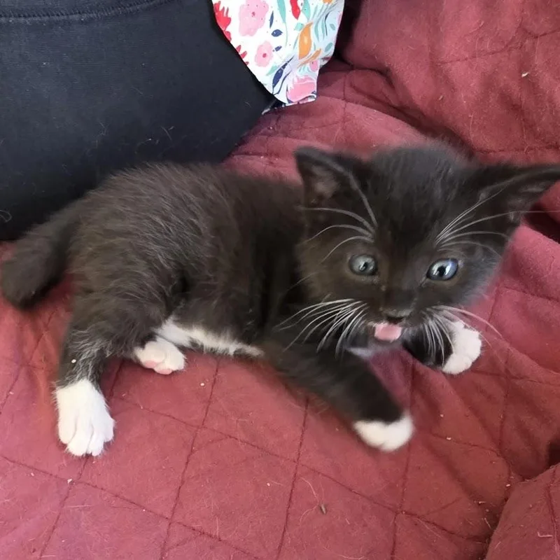Bootsie thumbnail 3