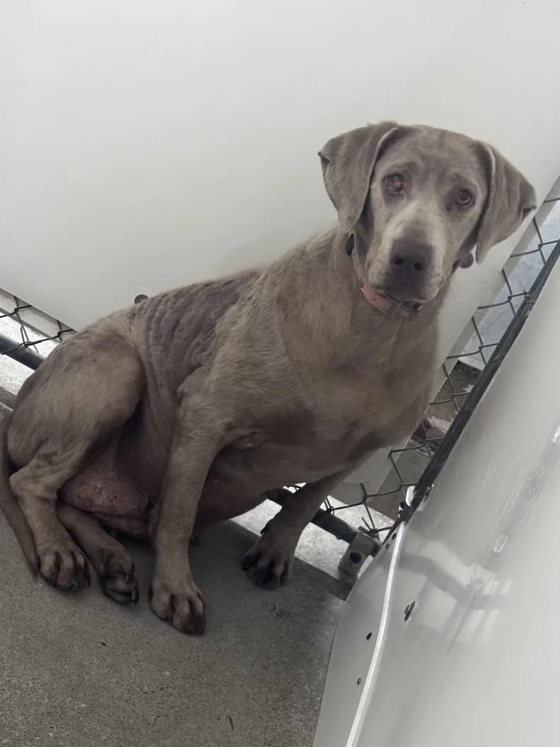 Tenleynot Accepting Applications Yet!