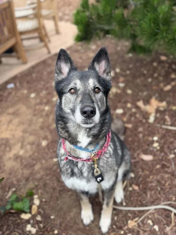 Nevaeh