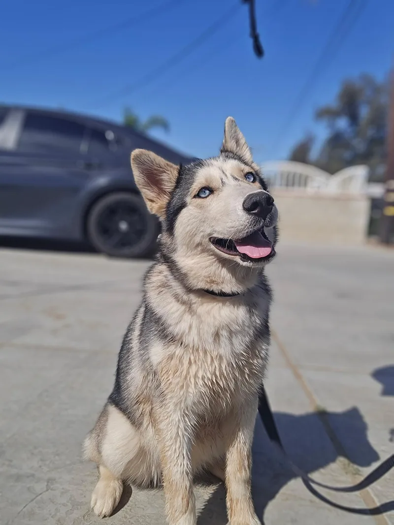 Speckles thumbnail 2