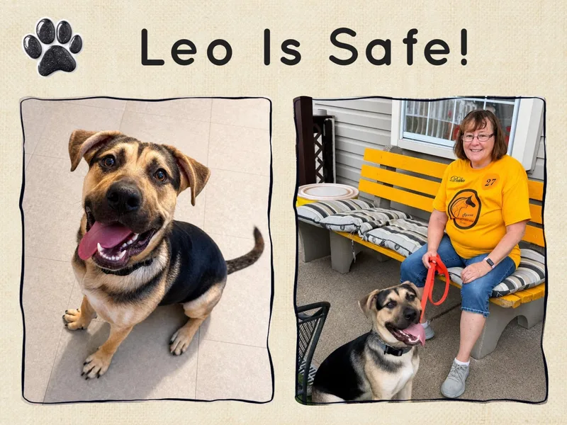 Leo