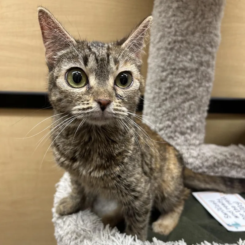 Minnesota thumbnail 2