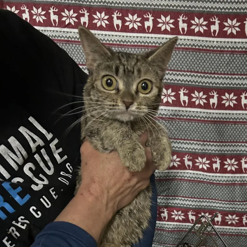 Minnesota thumbnail 3