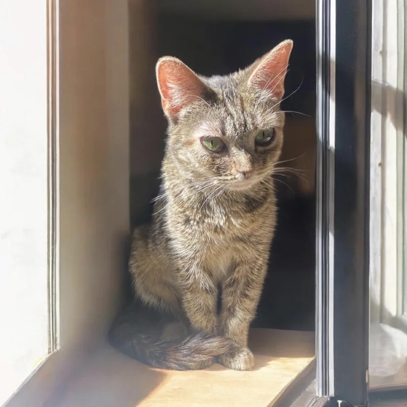 Minnesota thumbnail 4