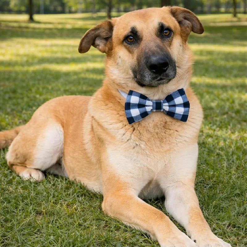 Waffle Gs thumbnail 3