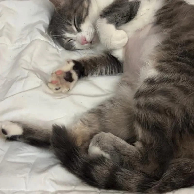 Lady Bonniemr thumbnail 3