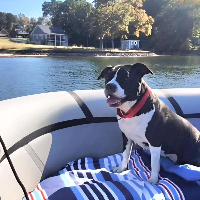 Carmella thumbnail 4