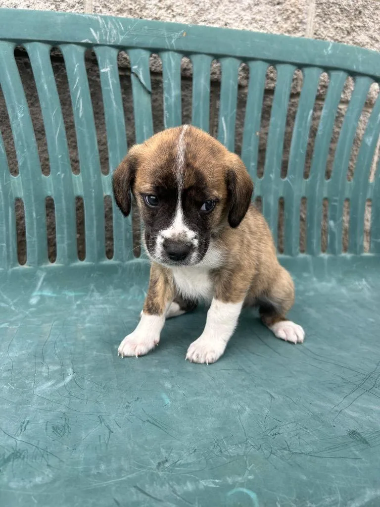 Sundance thumbnail 2