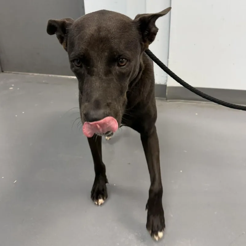 Dana thumbnail 2