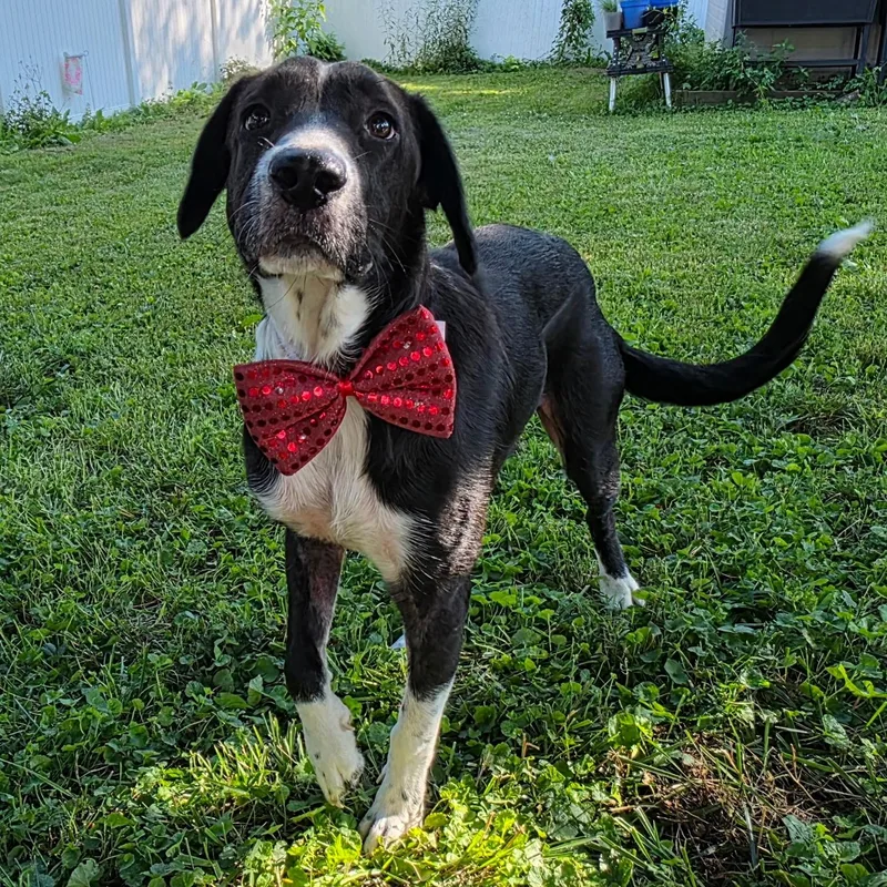 Axle