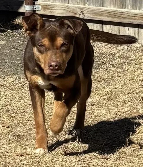 Tinkerbell thumbnail 2