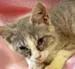 Freida thumbnail 2