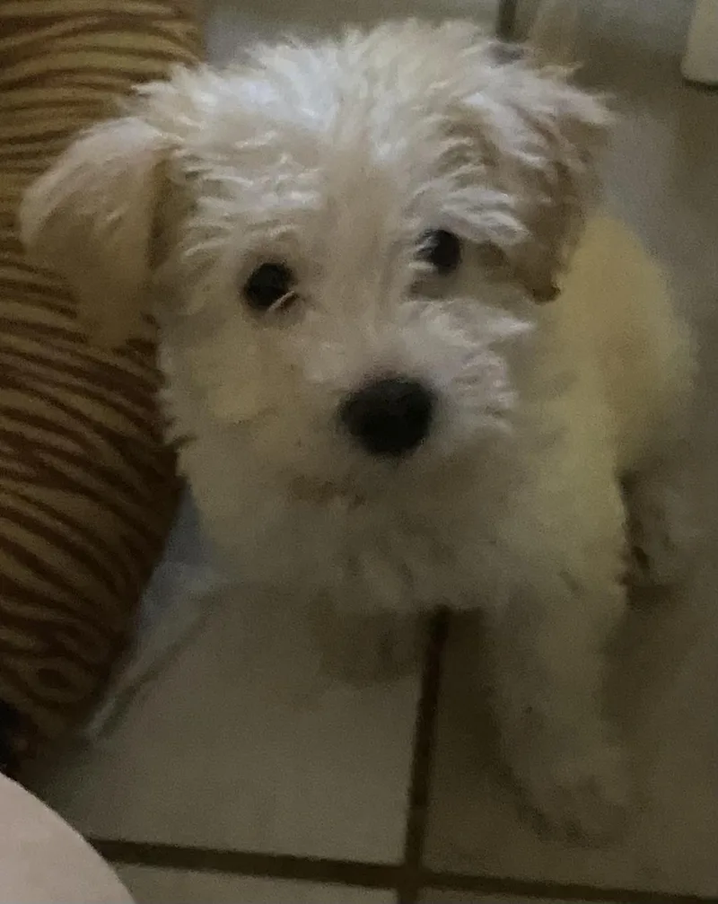 Barry