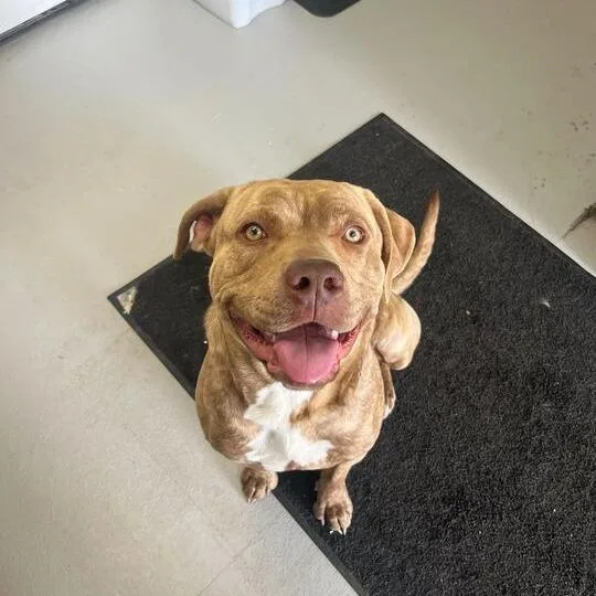 Cache Man Red thumbnail 2