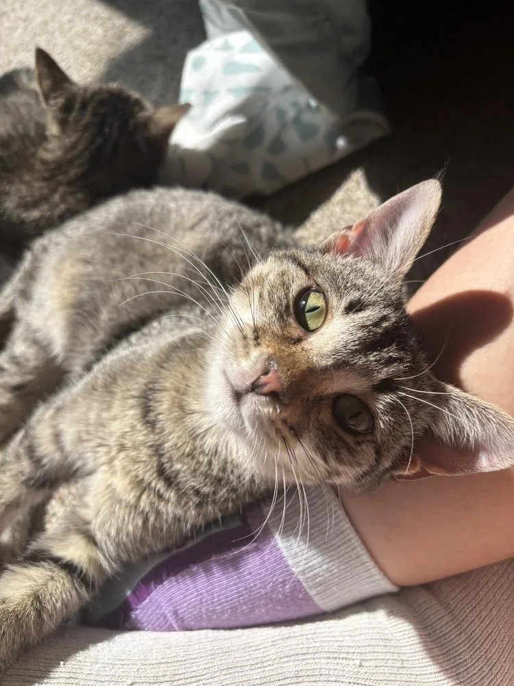 Kidd Rock thumbnail 2