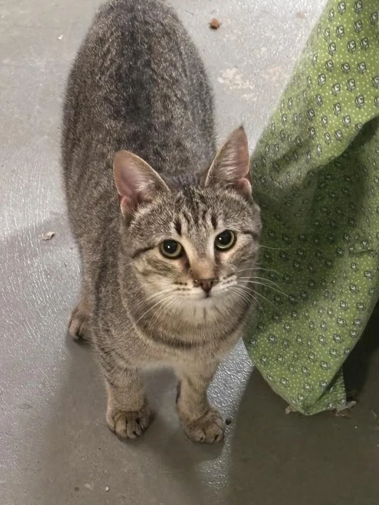 Kidd Rock thumbnail 3