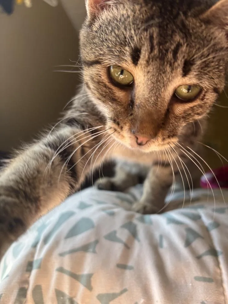 Kidd Rock thumbnail 5