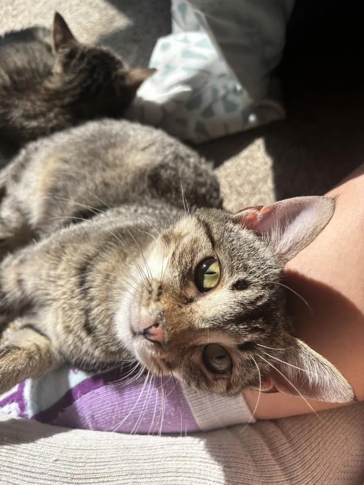 Kidd Rock thumbnail 6