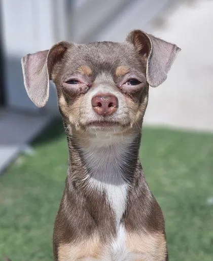 Vin Tanner thumbnail 2