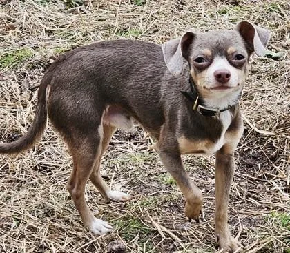 Vin Tanner thumbnail 3