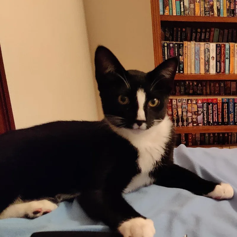 Vanilla Ice thumbnail 4