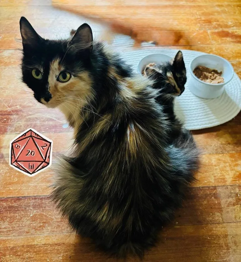 D&D mom: Francine the thumbnail 6