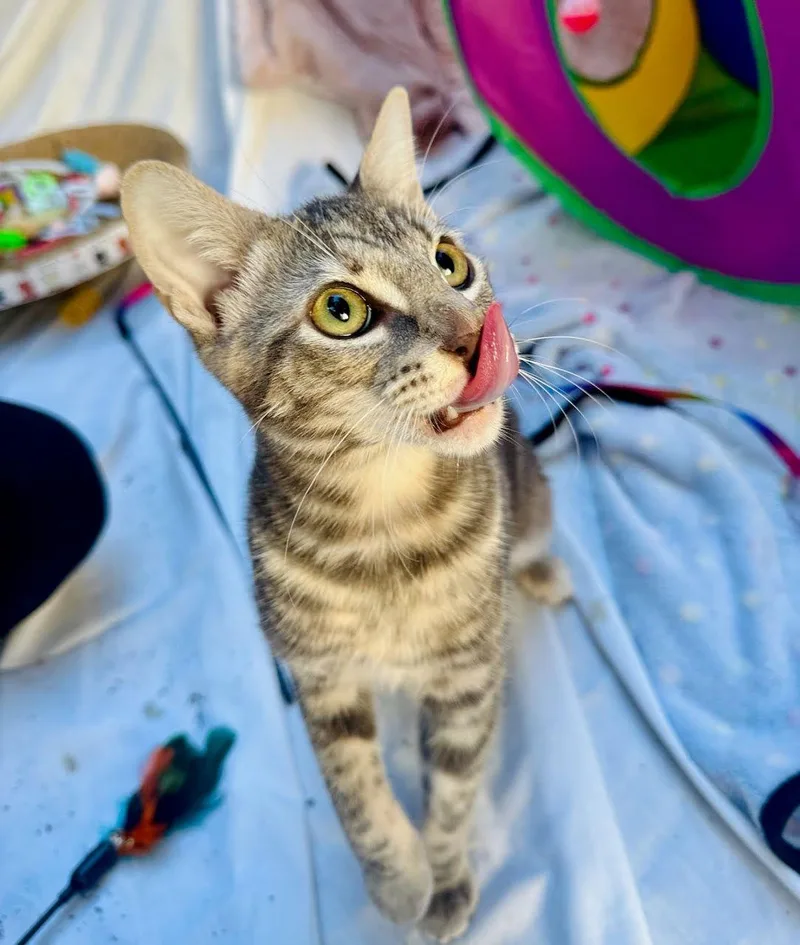 Jennifer Juniper thumbnail 2