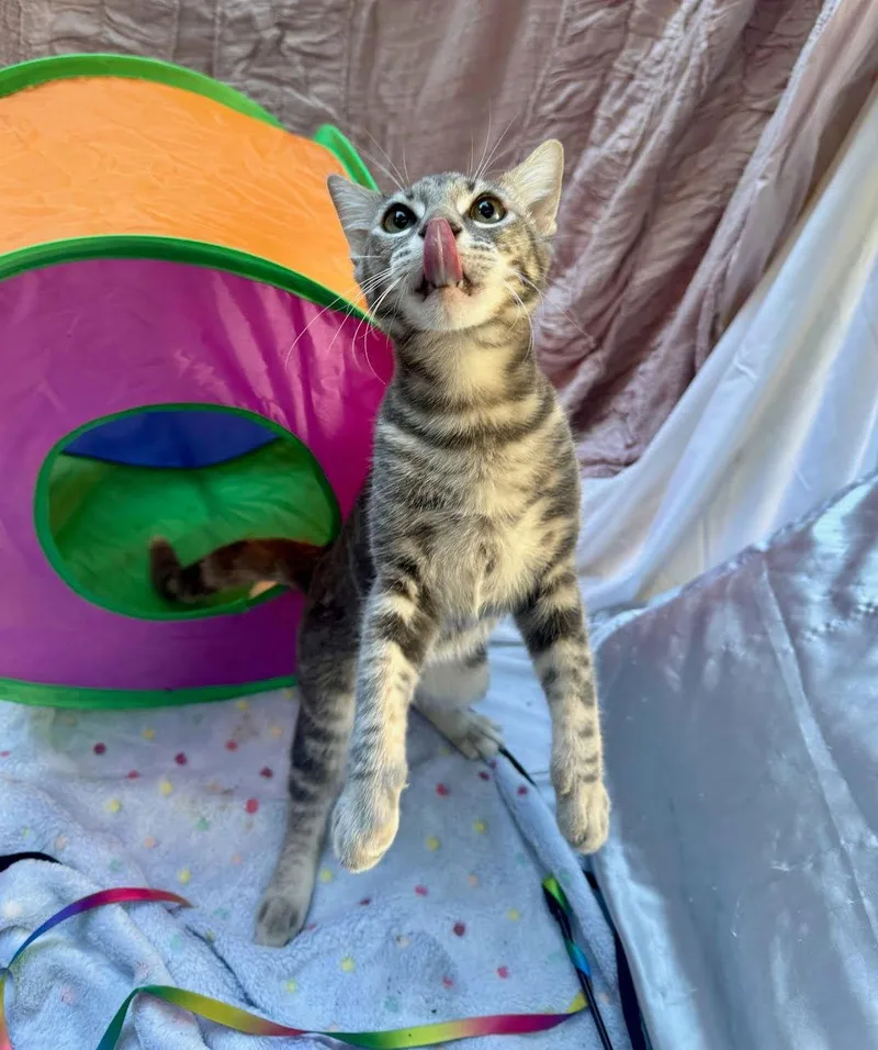 Jennifer Juniper thumbnail 3